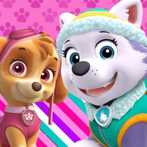 Patrulha Canina menina